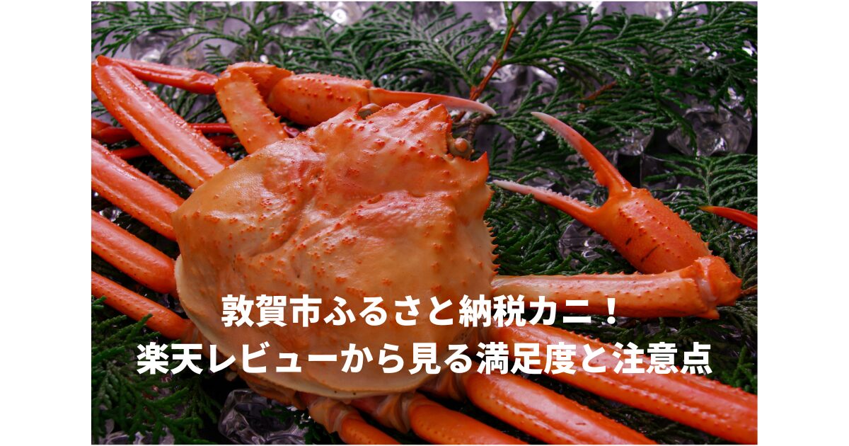 敦賀市ふるさと納税カニ楽天